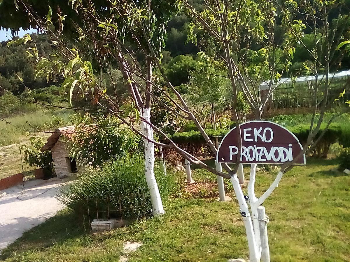 Apartman Rosa Apartment Skradin Exterior photo